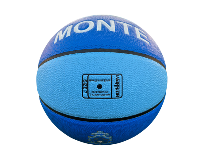 Custom Branded Basketballs