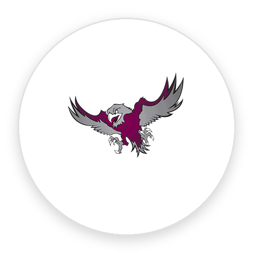 Category Image